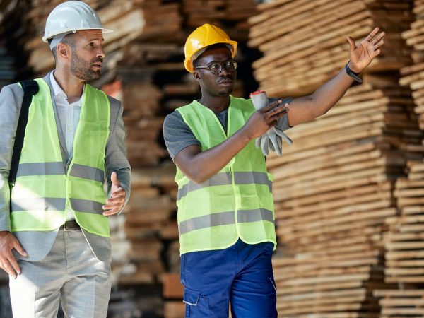 African American worker talking to inspector while guiding him through wood warehouse.